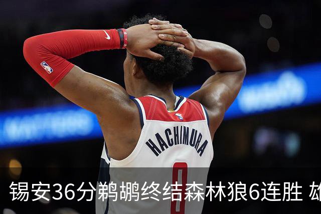 锡安36分鹈鹕终结森林狼6连胜 雄鹿险胜公牛